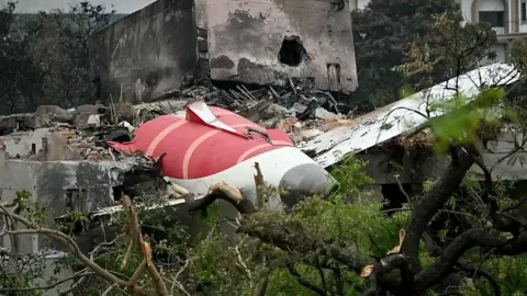 Next of kin of the Air India crash those lost file lawsuit aircraft companies Honeywell and Boeing
